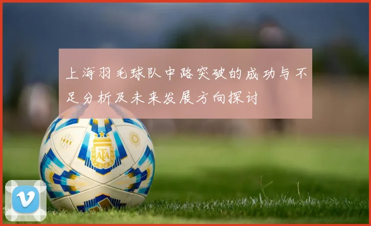 上海羽毛球队中路突破的成功与不足分析及未来发展方向探讨