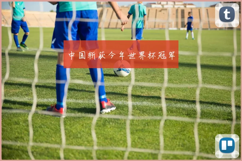 中国斩获今年世界杯冠军