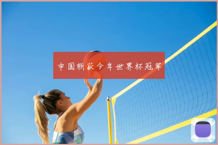 中国斩获今年世界杯冠军