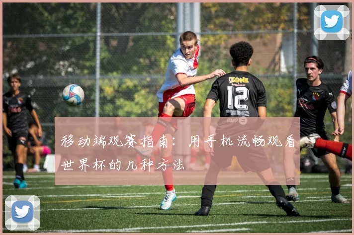 移动端观赛指南：用手机流畅观看世界杯的几种方法
