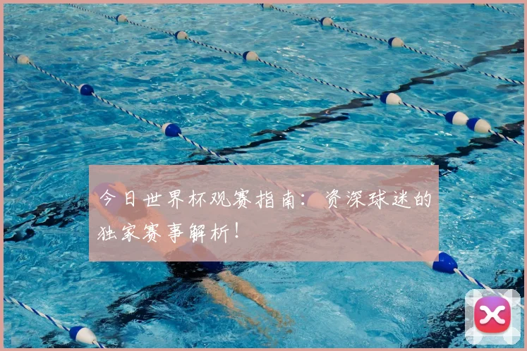 今日世界杯观赛指南:资深球迷的独家赛事解析!